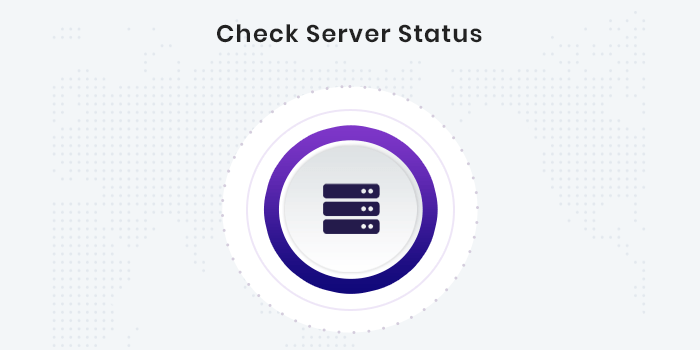 Server Status Checker